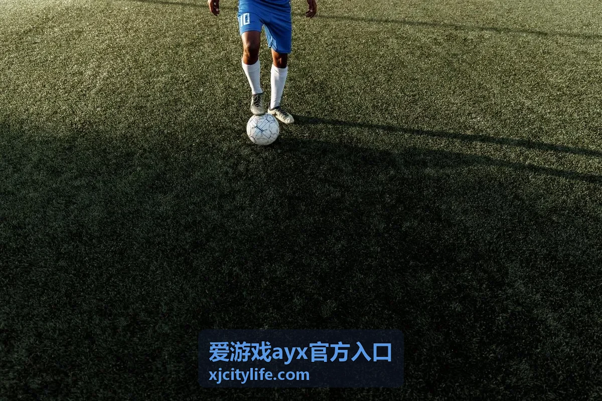 爱游戏ayx官方入口使用步骤缩略图
